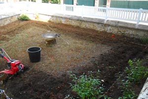 Renovation jardin